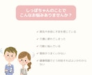 喜びも悲しみも。しっぽちゃんのお話しお聴きします しっぽちゃんとの暮らし、こころがほっとする時間をお届けします イメージ2