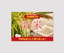 高品質なバナー制作します ビジネス・広告・SNS投稿用も対応！ イメージ7