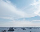 ペット様専用☆直傳靈氣（ジキデンレイキ）を行います 遠隔にてペット様にエネルギーケアを行い、ヒーリングいたします イメージ4