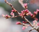 sns用記念日・子ども向け写真に文字入れします その一日に、ちょうどいい言葉を。 イメージ6