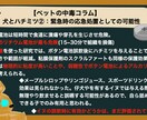 獣医師がペットの中毒に関する疑問にお答えします 飼い主さん、獣医療関係者からも募集 イメージ1