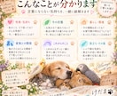 大切なあの子の想いを優しくお届けします ペットの気持ちをやさしくつなぐメッセージ イメージ9