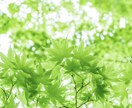 トップ霊能鑑定します 前に進めるお手伝いをさせていただきますね イメージ1