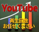 国内YouTube再生+1000回UPさせます 【効果抜群】日本人集客強化！YouTube再生数UP！ イメージ6