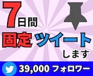 Twitterのツイートを7日間固定ツイートします 39000人アカウントで集客/宣伝/SNS/twitter イメージ1