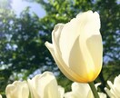 男性限定✿アニメ声女子があなたの恋人役やります 通話は1分からOK！癒されたい人大歓迎！ イメージ4