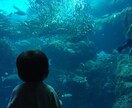 些細なことも言いにくい事もゆっくり伺います 短いお話でも大丈夫。声を出してみませんか？ イメージ6