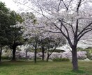 屋外風景を3D・ガウシアンスプラッティングにします 観光地・施設・土地の魅力を、自由視点の3Dで伝えます イメージ1