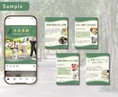 インスタの投稿画像を作成いたします 多忙なあなたに代わって画像制作します。あとは投稿するだけ♪ イメージ3