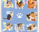 ゆるゆる「うちのこ」LINEスタンプ作成します 飼い主の口癖やペットのお気に入り写真をスタンプに◎ イメージ3