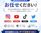 LINE公式アカウントの友達数＋100人増やします ✅ラインオフィシャル/フォロワー/保証付き/振り分け可能 イメージ3