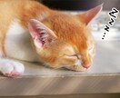何時からでも大丈夫❤️眠くなるまでお話ききます 眠れぬ夜にあなたのそばに寄り添います♪ イメージ1