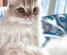 ペットのリアルな似顔絵を描きます iPadでリアルなデジタル絵を提供します。 イメージ3