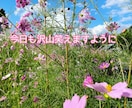 どんなお話しでも優しくお聞きして受け止めます 今すぐ誰かに話したい時、私に話してくださいね イメージ2