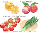 商用◎水彩で野菜・フルーツのイラストを描きます 構図から提案も可。カラーラフ修正無制限、ヒアリングが得意です イメージ2