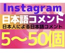インスタ【日本人コメント】+5〜増やします 内容希望可！インスタグラム【日本人コメント】【+5〜50】 イメージ1