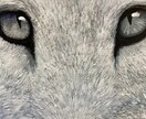 動物の肖像画を画家兼デザイナーがお描きします 手描きならではの温かみを大切にしています イメージ4