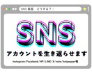 見直し特化！放置したSNSを再始動します あるだけアカウントを生き返らせて目的にあった運用を教えます イメージ1