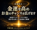 金運を高めお金のチャンスを広げます 金運ヴォルテックスで拓く、豊かな未来への金運向上施術 イメージ1