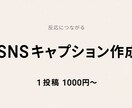 SNS投稿キャプション作成します（反応重視）ます 読まれる→反応につながる文章作成 イメージ1