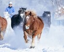 12/30まで♪年末の大浄化！大祓ヒーリングします 不要なエネルギーを手放し2026年午年を駆ける！ イメージ2