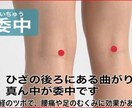 身体の痛みや歪みの治療法などのご相談を受け付けます 35年の臨床経験を持つPTが、痛みのない生活を教えます イメージ5