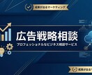 大手広告代理店出身者が広告集客戦略の相談に乗ります 集客に悩む経営者・個人事業主の広告相談に乗ります イメージ1