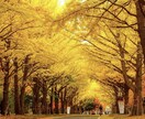 北海道の行ってみたいを教えます 北海道のおすすめスポットや穴場スポットをプランニング♪ イメージ3