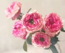 愛のヒーリング&オラクルカード1枚引きます 魂と心と体の浄化の光であなたを包みます。 イメージ2