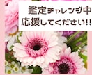 マヤ暦であなたに合った出会い方をお伝えします 【マヤ暦×龍】おすすめの出会い方、場所、行動が分かります。 イメージ3
