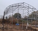 お年寄りでもメダカ飼育、ヤフオク販売コンサルします 狭い場所や高齢者の方メダカ飼育実現します。 イメージ3