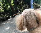 親御さんご相談受け付けます 現在、摂食障害の娘さん、息子さんのことでお悩みの方 イメージ2