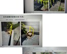 お家の図面作成、写真のイメージ図作成致します ご自宅の図面、イメージ画像を作成いたします! イメージ2
