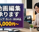 丁寧、柔軟で正確に動画編集を致しますます ビジネスYouTubeSNS対応！迅速な連絡と納期厳守で安心 イメージ1