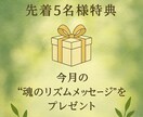 魂の設計図×宇宙リズム鑑定【先着特典あり】ます “本当のわたし”に還るスピリチュアル占い　（メール鑑定） イメージ1