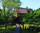 育児、夫婦間、婚活のお悩みを親身にお聞きします あなたは今とても頑張っているじゃないですか自分を責めないで イメージ1