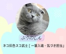 3匹の猫が三者三様の視点でお悩み相談に乗ります 甘々の弟、知的な兄、武士な猫。3匹の視点で心を軽くするニャ イメージ4