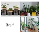 飲みながら話さん？博多っ子が飲み友になります 元銀座ホステスがあなたの飲み友になります♡雑談／サシ飲み イメージ6
