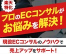 モールEC売上改善！プロが60分で解決します 楽天市場ECモールでのお悩み相談・改善点アドバイス・施策提案 イメージ1
