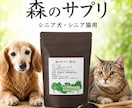 Amazon楽天の商品画像を企画から丸投げできます 通販歴20年以上の現役店長が5枚の画像制作までまとめて対応 イメージ8