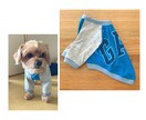 家族の古着で愛犬のTシャツ作ります ～サイズアウトしても手放しがたい服、リメイクしませんか～ イメージ2