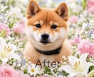 AIで写真をキレイに補正・加工します 大切な思い出の写真をもっと綺麗に イメージ1
