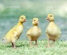 看護師があなたの心を整える手紙を送ります 看護師歴14年、子育て歴7年の私があなたの心を整えます イメージ2