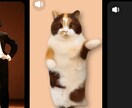 ダンス動画作り‼️閲覧数上げます 子供やあなた！家族や友達！ペットのダンス作ります！ イメージ2