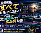 動画編集全て受けます 視覚的にわかりやすく共感力重視の編集 イメージ1
