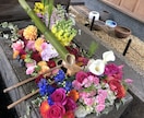 京都満喫プランご提案します 京都生まれ京都育ちのOLが、希望に合わせたプランをご提案! イメージ6