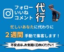 Instagramのいいね周りを代行いたします ターゲットに向けた地味ないいね周りをお任せください イメージ1
