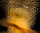 あなたの撮影した写真を編集します 周りと差が着くひと工夫!あなたの写真をワンランクアップ!! イメージ6