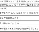 詳細な採点基準に基づいた小論文の添削を行います 採点基準が不明瞭な小論文の採点・添削を実施します！ イメージ1