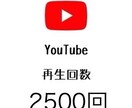 YouTube動画➕2000再生数拡大ます 今ならプラス500再生を無料で増量中‼️ イメージ1